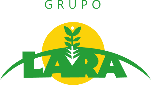Ilustração do Logo Lara